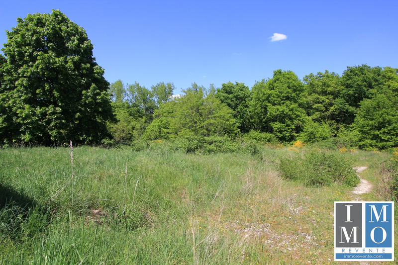 Terrain - 24 965 m²