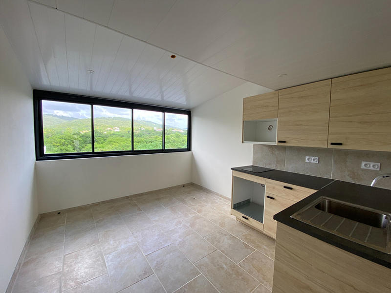 Appartement - 50 m² - 2 pièces