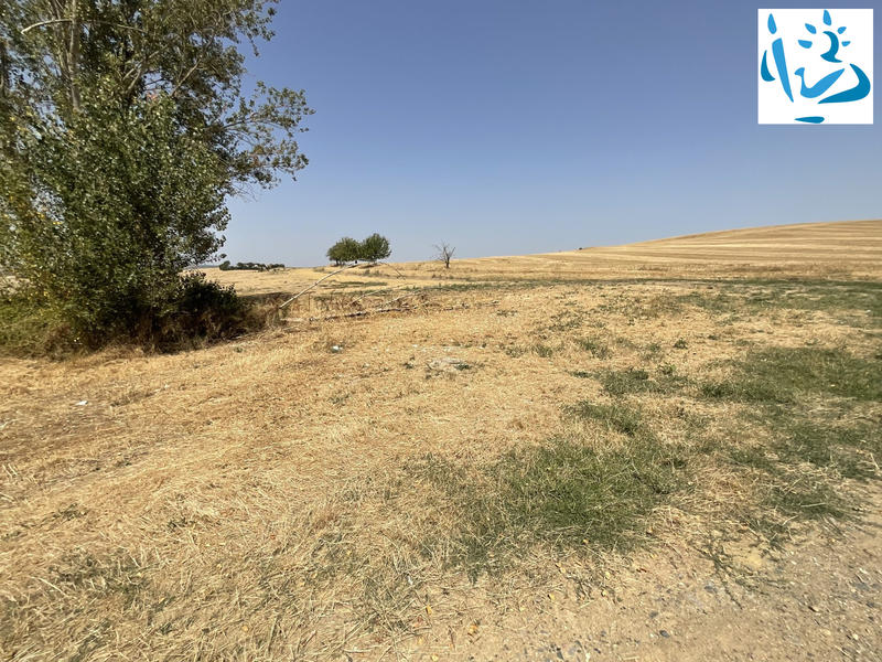 Maison - 205 m² - 9 pièces