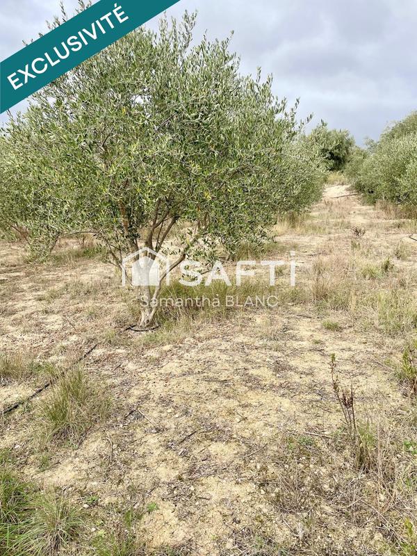 Terrain agricole - 4 416 m²