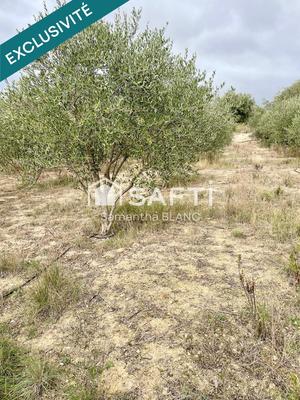 Terrain agricole - 4 416 m²