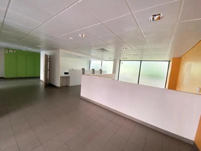 Bureau - 248 m²