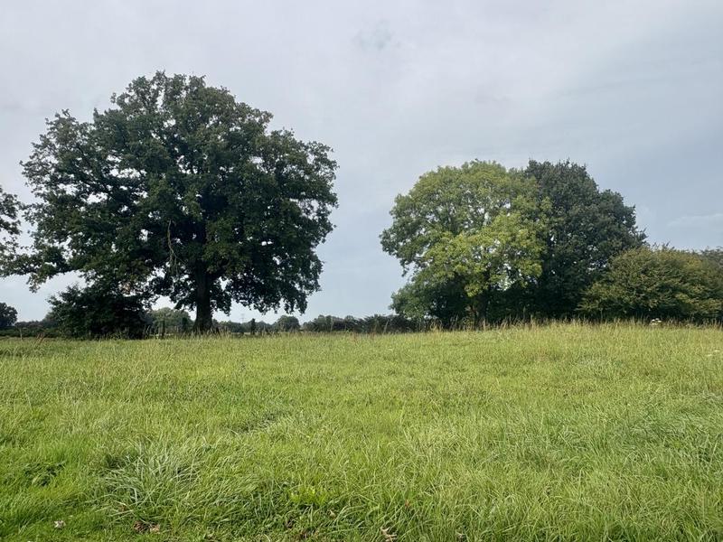 Maison - 124 m² - 6 pièces