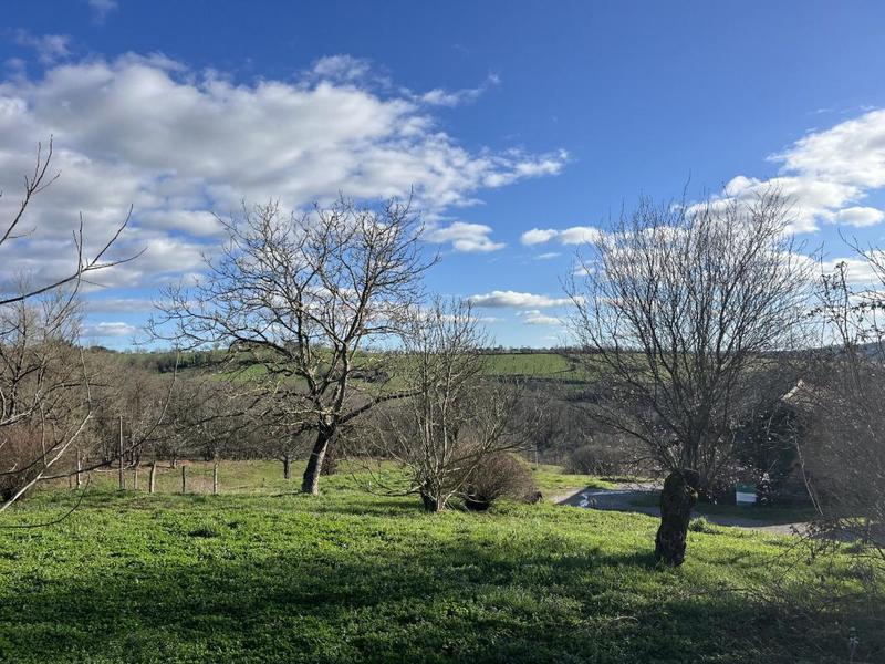 Maison en pierre - 105 m² - 6 pièces