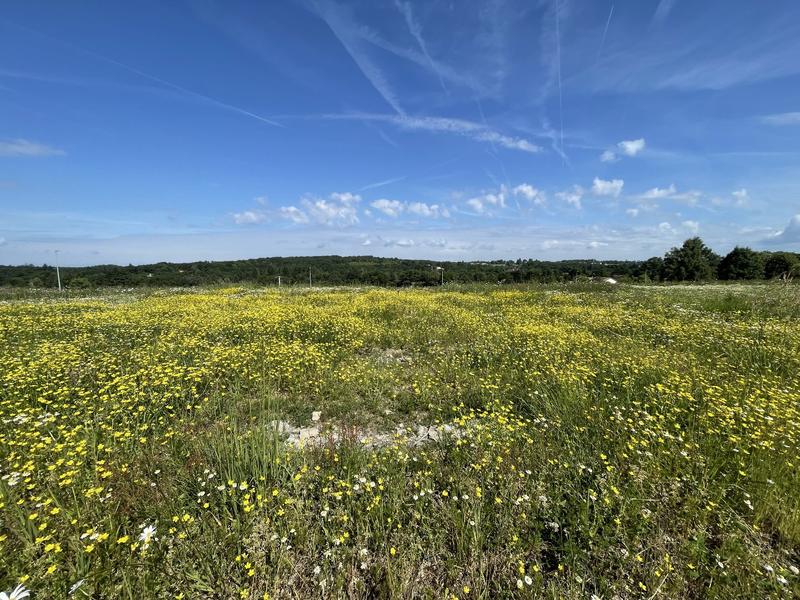 Terrain constructible - 1 267 m²