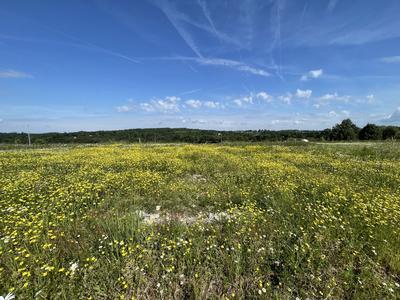 Terrain constructible - 1 267 m²