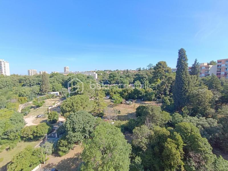 Appartement - 80 m² - 3 pièces