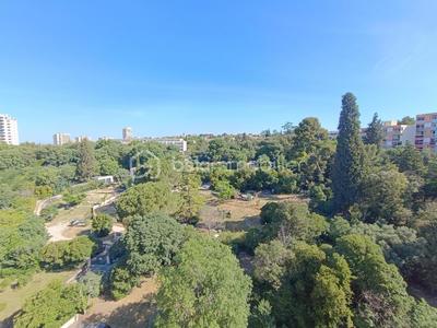 Appartement - 80 m² - 3 pièces