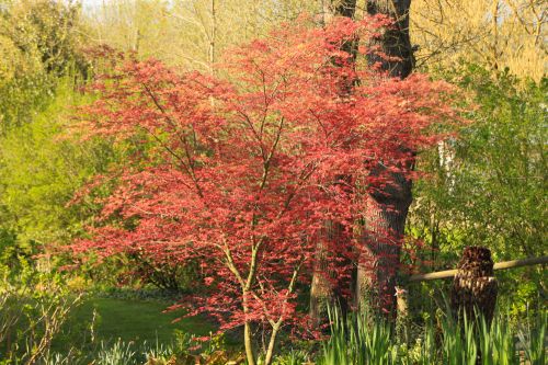 Les Jardins de Martels