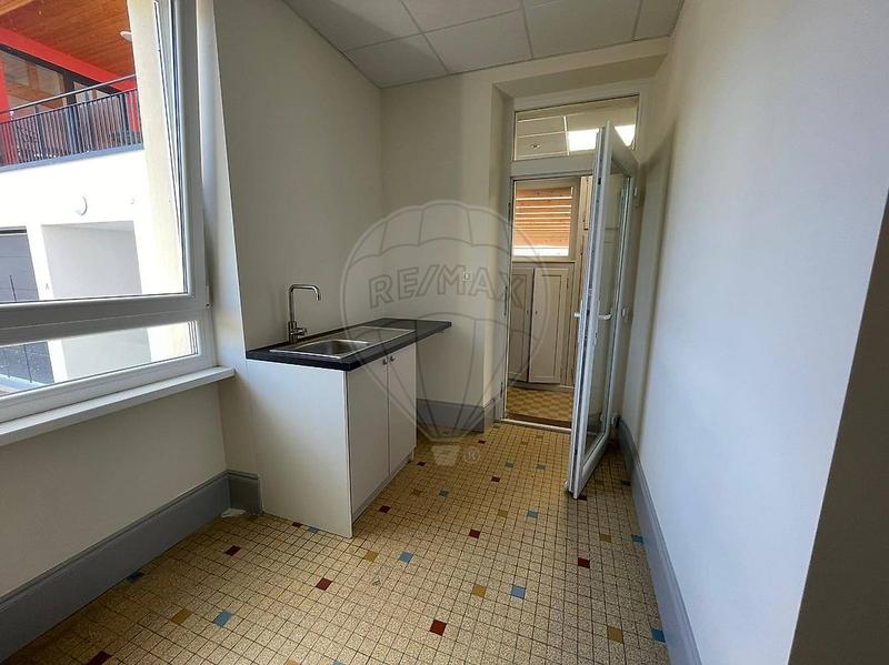 Bureau - 240 m² - 7 pièces