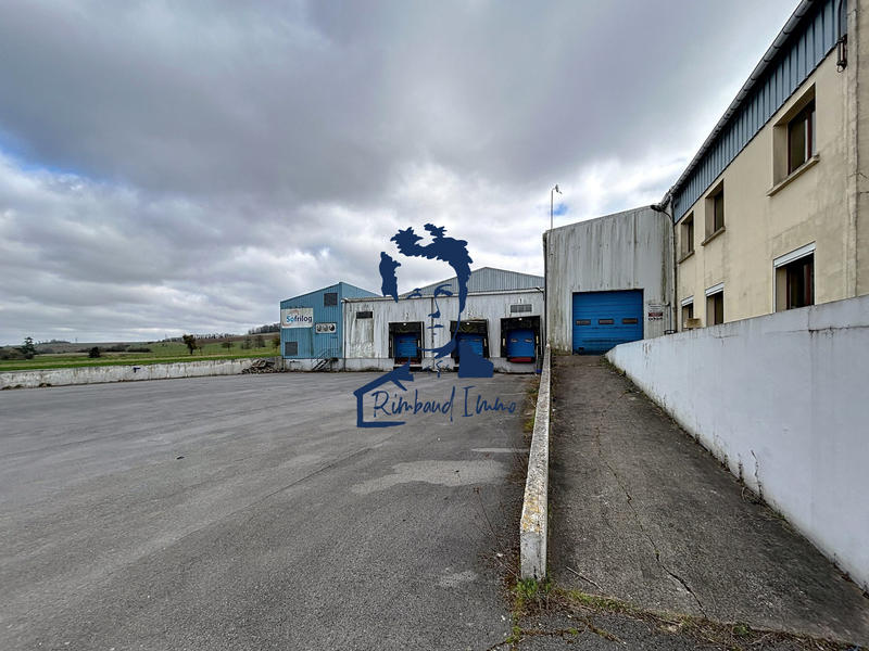 Local d'activités - 3 200 m²