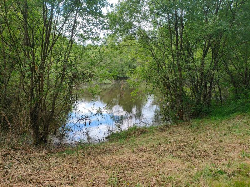 Terrain - 14 125 m²