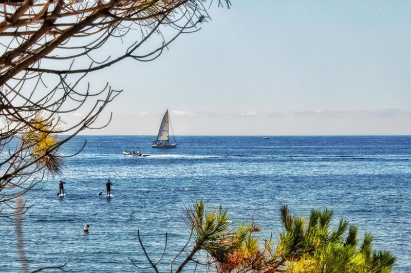 Maison - 230 m² - 5 pièces