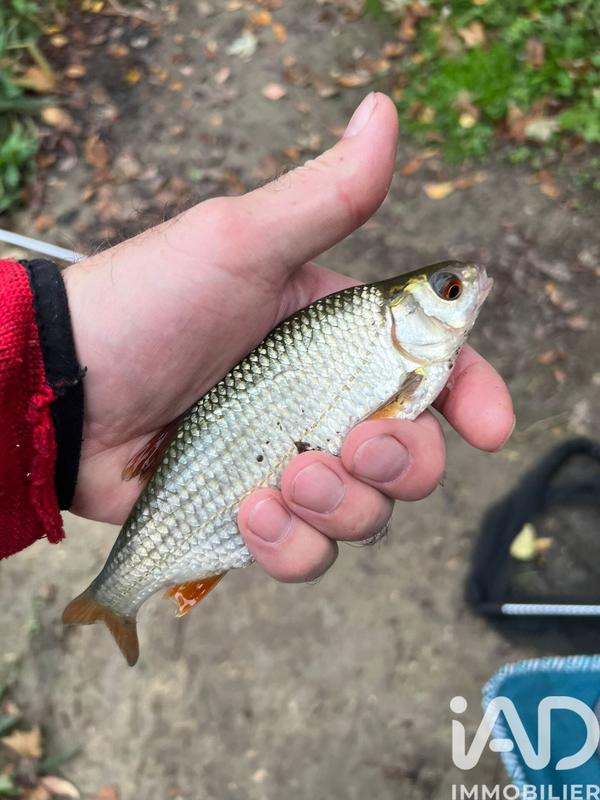 Terrain - 21 918 m²