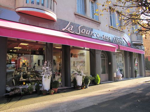 La Source aux Fleurs