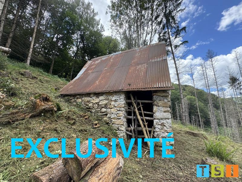 Maison - 25 m² - 1 pièce