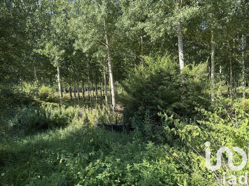 Maison de campagne - 169 m² - 7 pièces