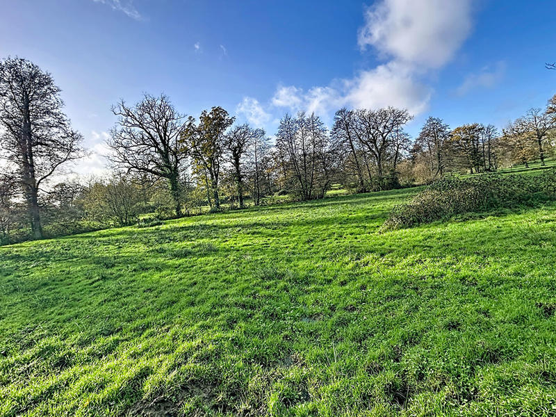 Maison - 132 m² - 5 pièces