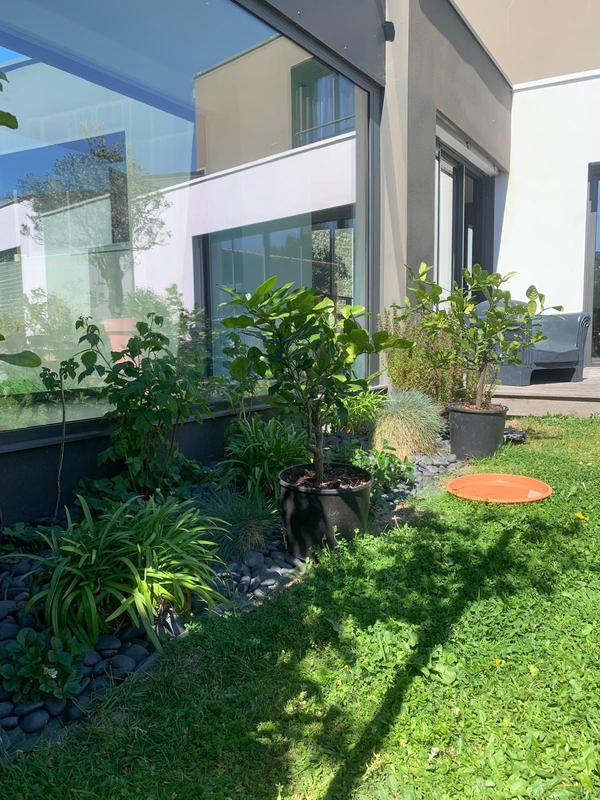 Maison contemporaine - 211 m² - 6 pièces