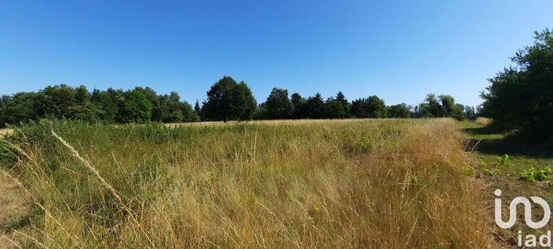 Terrain - 5 377 m²