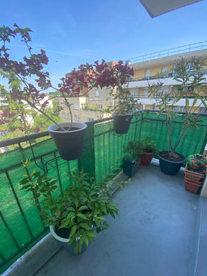 Appartement - 41 m² - 2 pièces