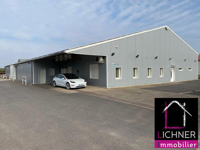 Local d'activités - 800 m²