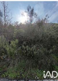 Terrain - 65 360 m²