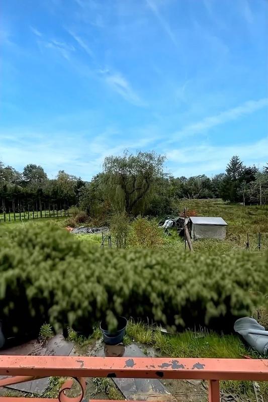 Maison - 80 m² - 3 pièces