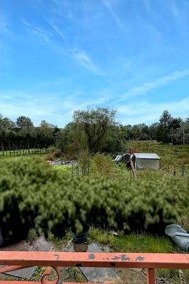 Maison - 80 m² - 3 pièces