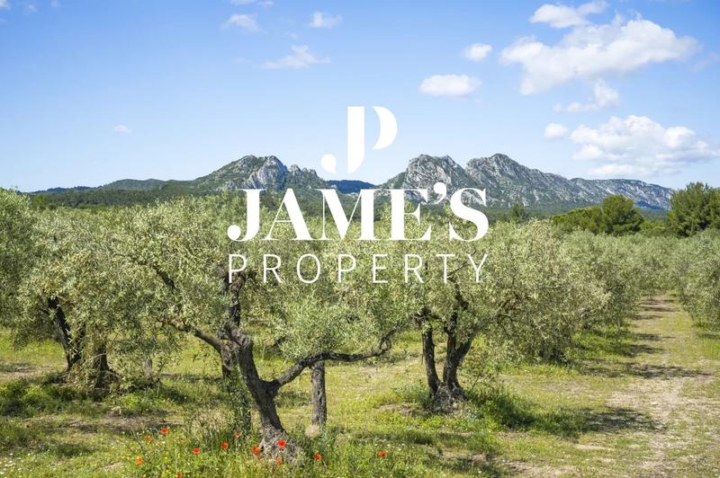 Propriété - 415 m² - 9 pièces