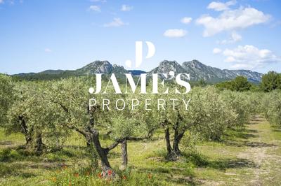 Propriété - 415 m² - 9 pièces