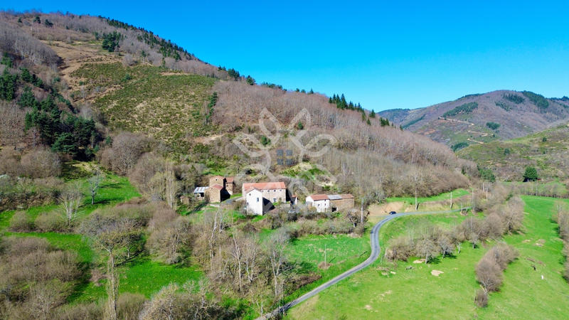 Propriété - 300 m² - 10 pièces