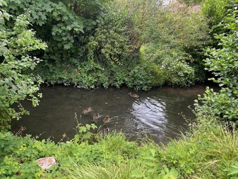 Maison - 149 m² - 7 pièces