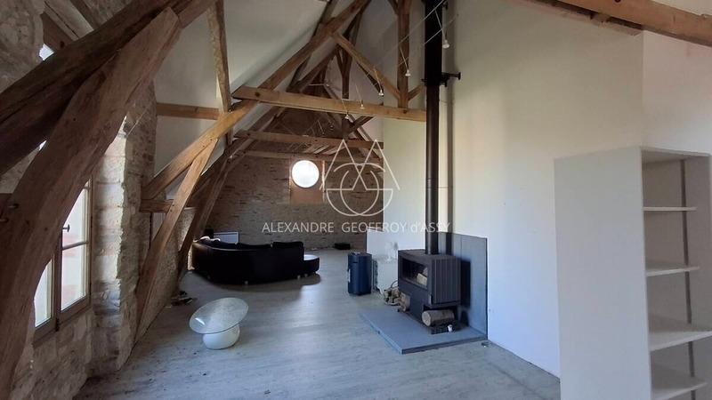 Château - 700 m² - 20 pièces