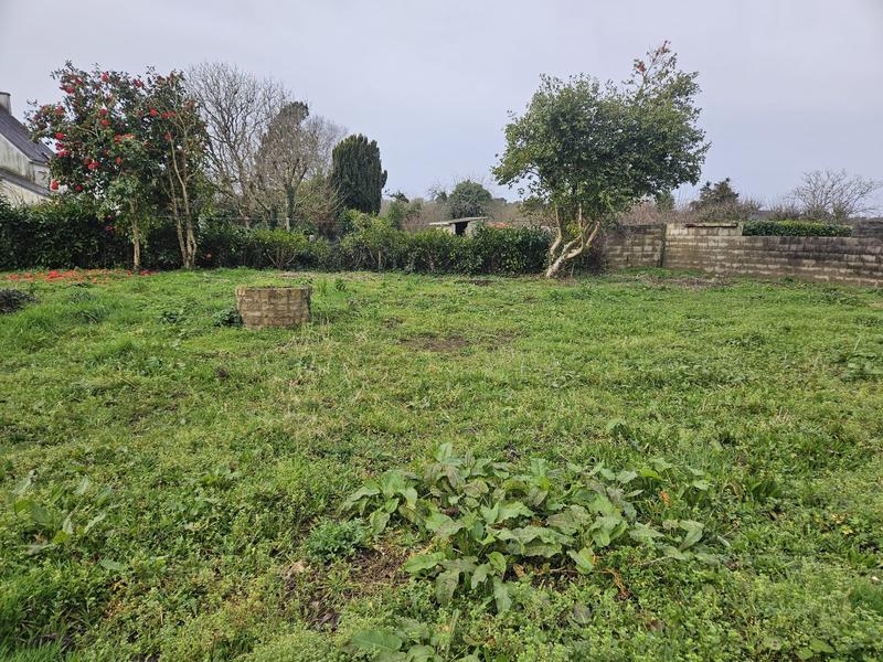 Terrain - 503 m²