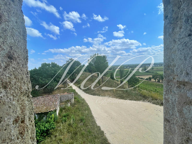 Maison - 338 m² - 10 pièces