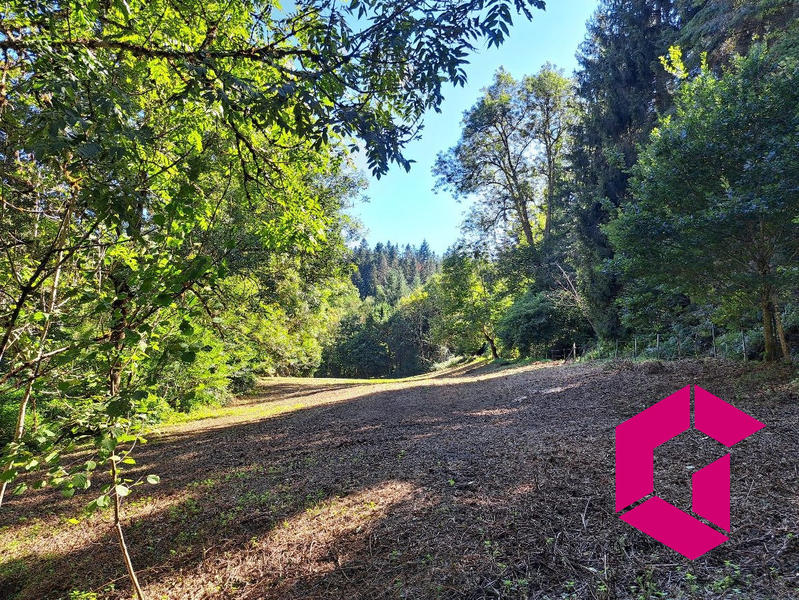 Maison - 283 m² - 15 pièces