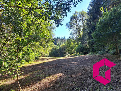 Maison - 283 m² - 15 pièces