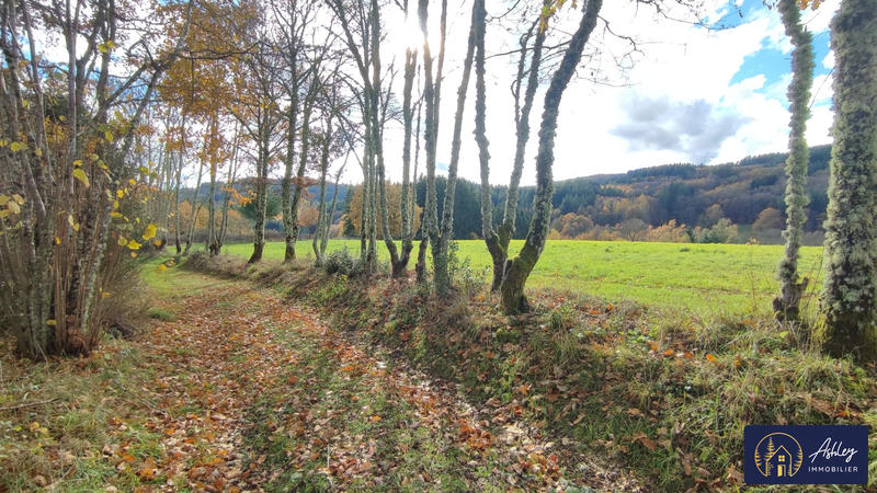 Maison ancienne - 172 m² - 9 pièces