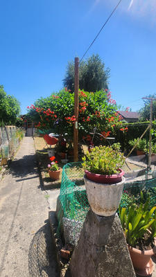 Maison - 100 m² - 6 pièces