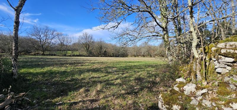 Maison de campagne - 114 m² - 6 pièces