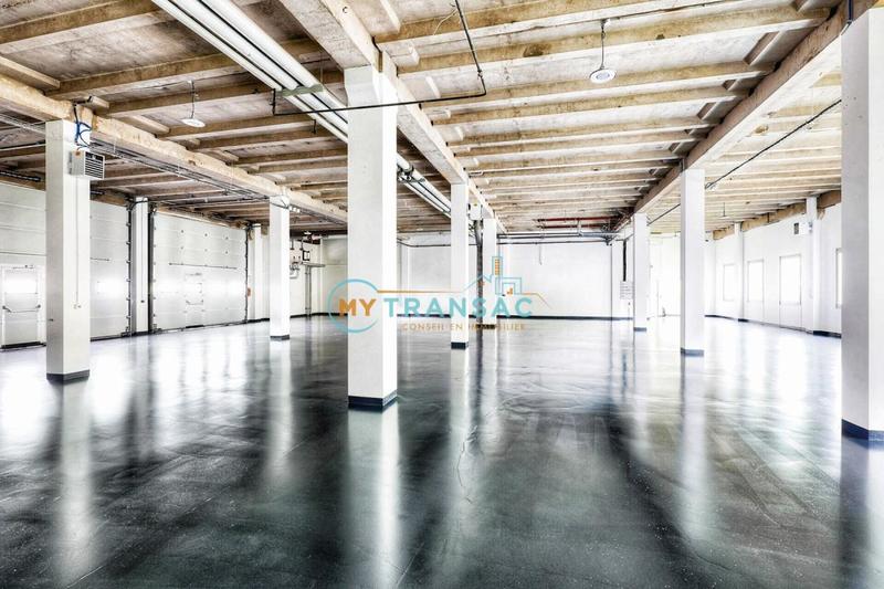 Local d'activité / Entrepôt - 1 077 m²