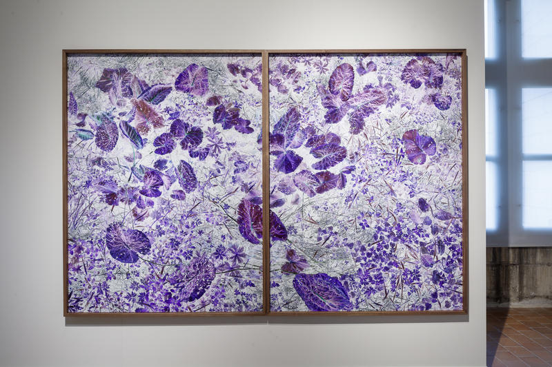 Exposition Chaumont-Photo-sur-Loire