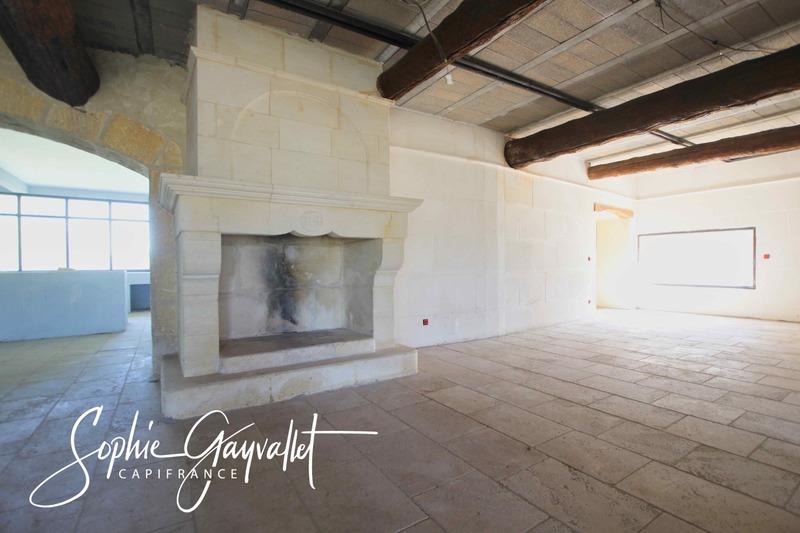 Maison - 550 m² - 9 pièces