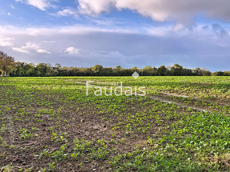 Terrain agricole - 33 554 m²