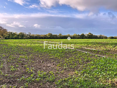 Terrain agricole - 33 554 m²