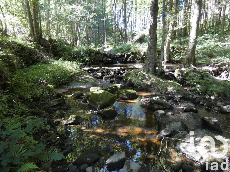 Maison de campagne - 367 m² - 13 pièces