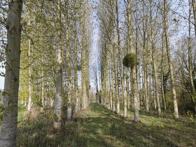 Terrain de loisirs - 17 000 m²