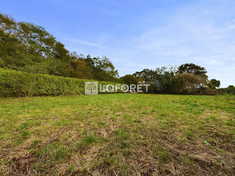 Terrain agricole - 1 055 m²