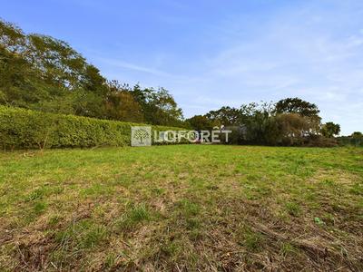 Terrain agricole - 1 055 m²